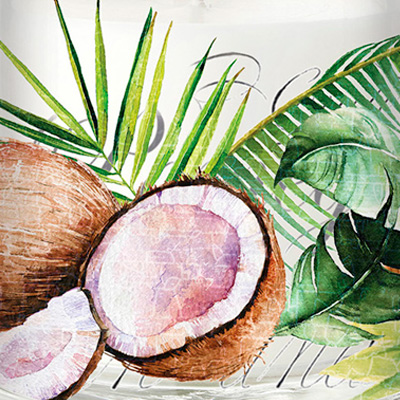 COCONUT PALM